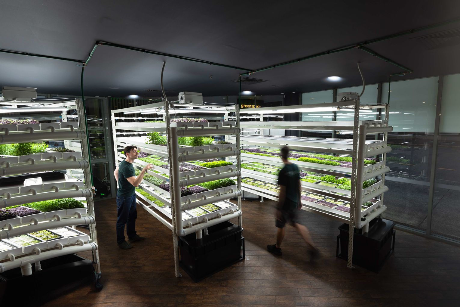 Inside the Greenspace Brisbane Macrofarm