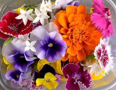 Mixed Flowers