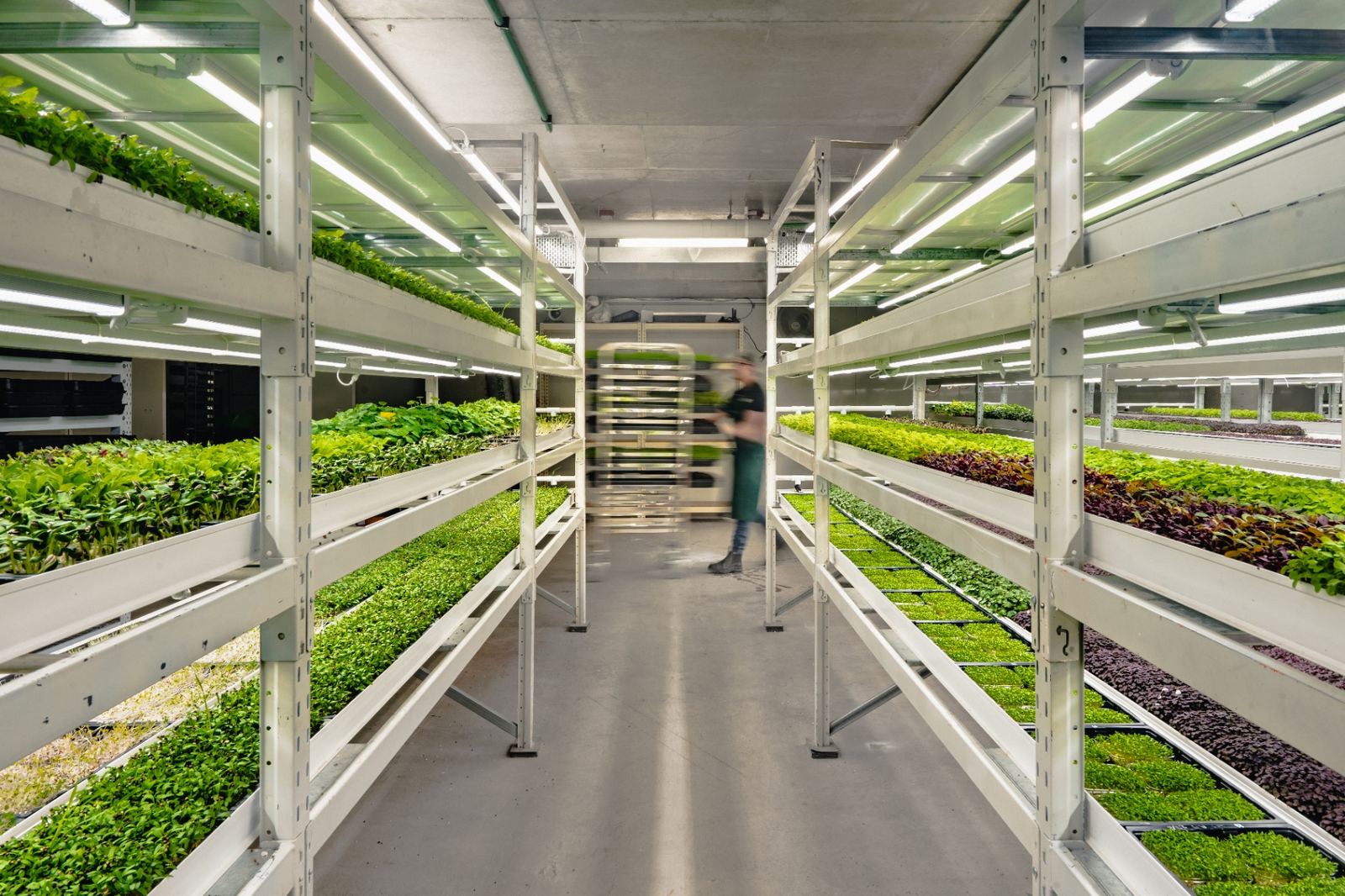 Macrofarm facility