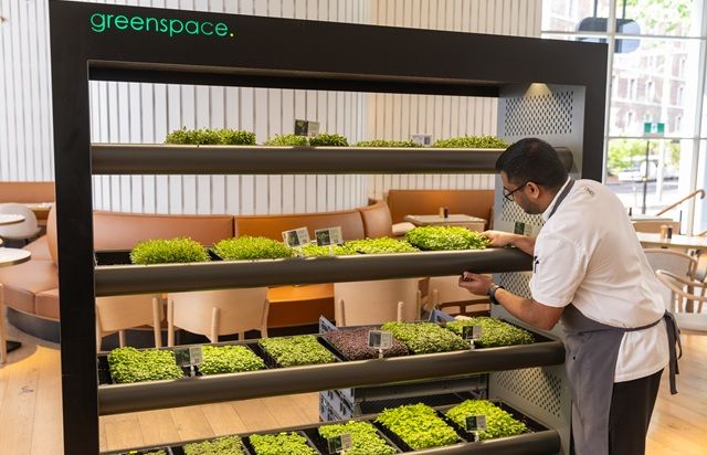 Hotel Management Accor Greenspace